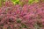000ATF85O027X1DQ-C122-F4.jpg