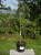 DSC04345.JPG