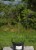 DSC04335.JPG
