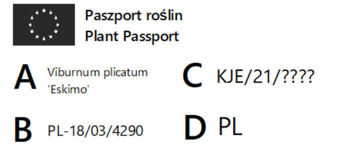 Kalina - paszport.png