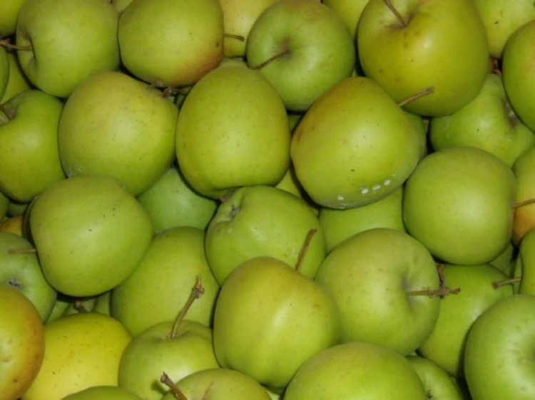jablka 58.jpg
