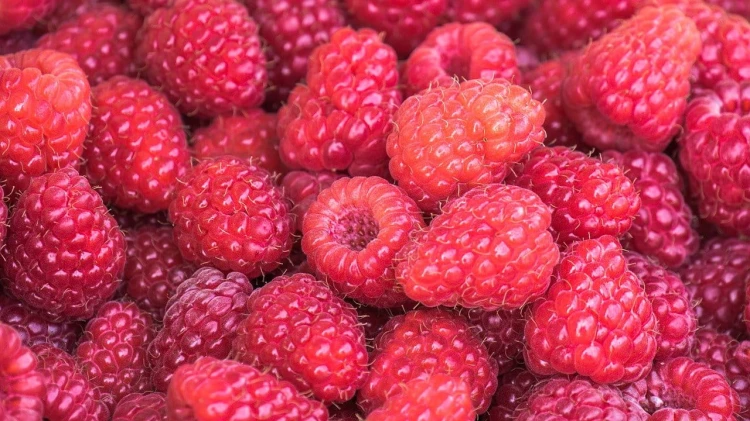 raspberries-g99f6c6df8_1280.jpg