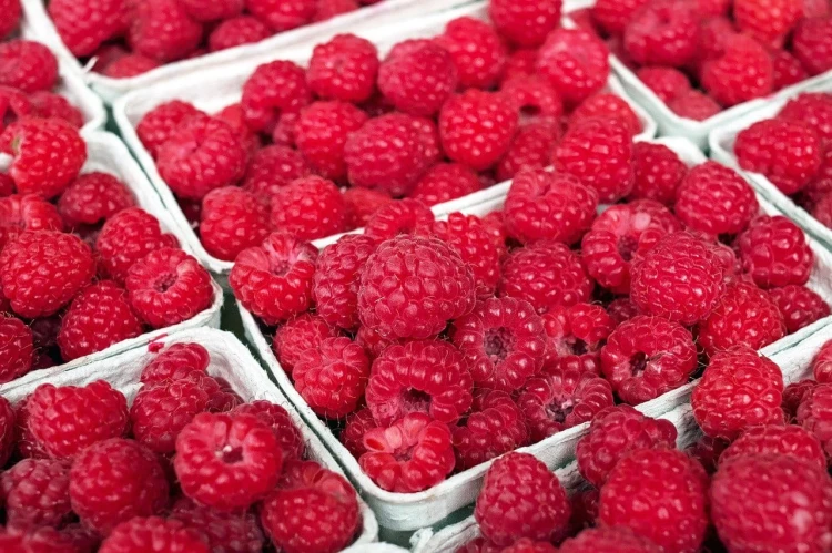 raspberries-gaf009328a_1280.jpg
