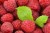 berries-gc4de14551_1280.jpg