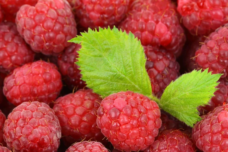 berries-gc4de14551_1280.jpg