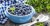 ed21eb2e4379acc55081a47f54d3.jpg