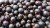 currants-3494371_1280.jpg