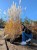 PXL_20241021_081858951.MP.jpg