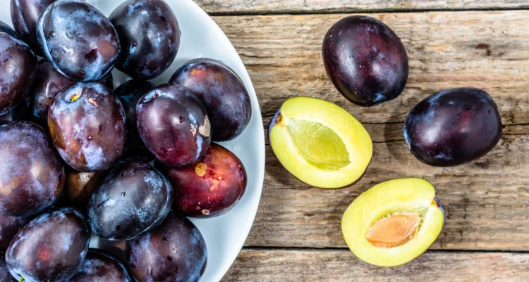 can-dogs-eat-plums.jpg