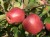 f90b4eaa35d84b76635936d27b2616ab.jpg