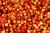 colorful-red-yellow-rainier-cherries-seemingly-endless-pile-sweet-shot-pier-farmers-market-san-francisco-37130193.jpg