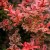 unnamed.jpg