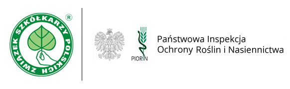 Stylowość w każdym szwie
